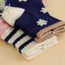 Cashmere Wool Anti-Slip High Ankle Socks for Babies - Set of 5 Pairs